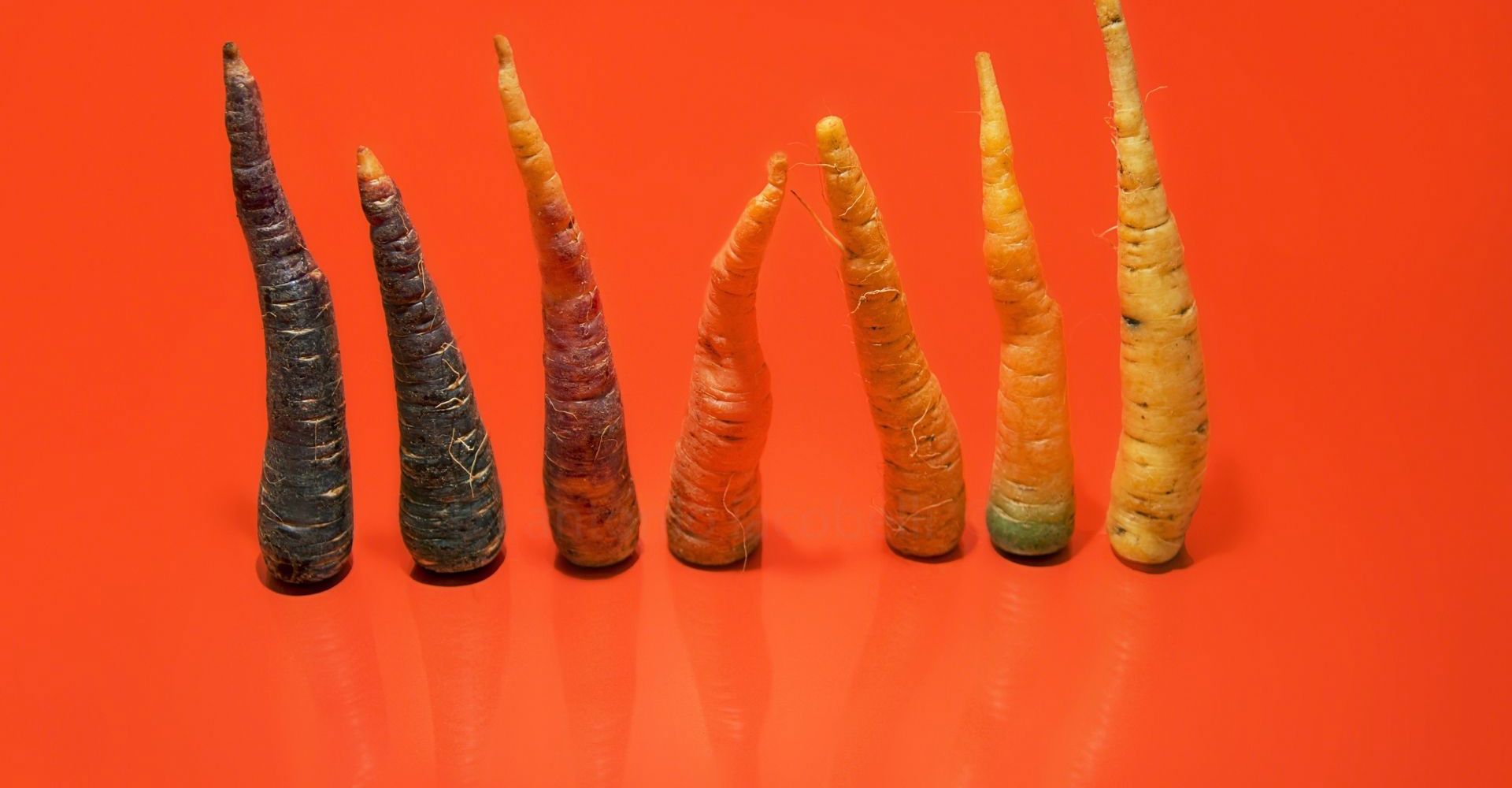 Carots