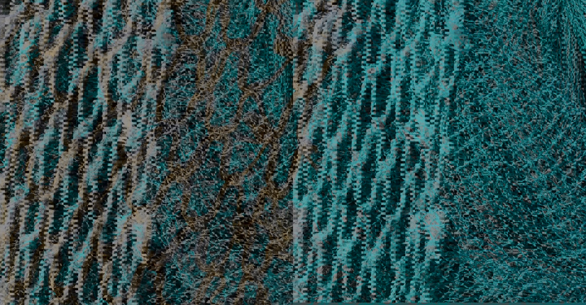 This is a recycled fishing net